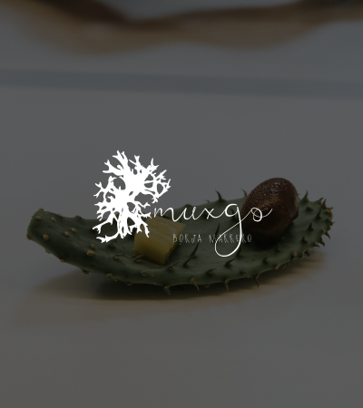 muxgo